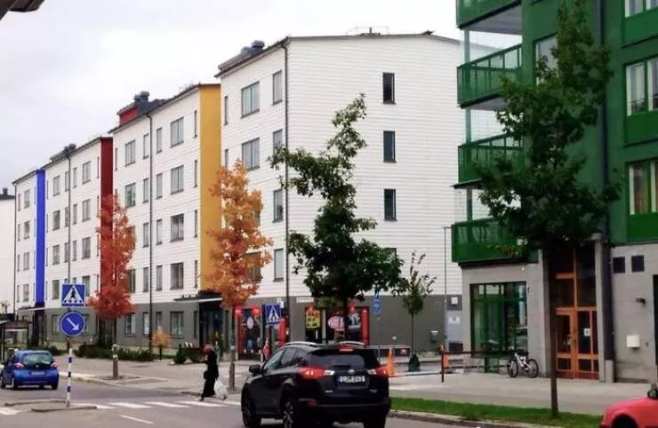 Strange real life coincidences you wont believe - #1 These Trees Blend Perfectly With The Building Behind Them