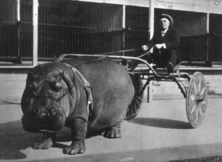 Picdump 1035 - #19 Picdump 1035 - #19