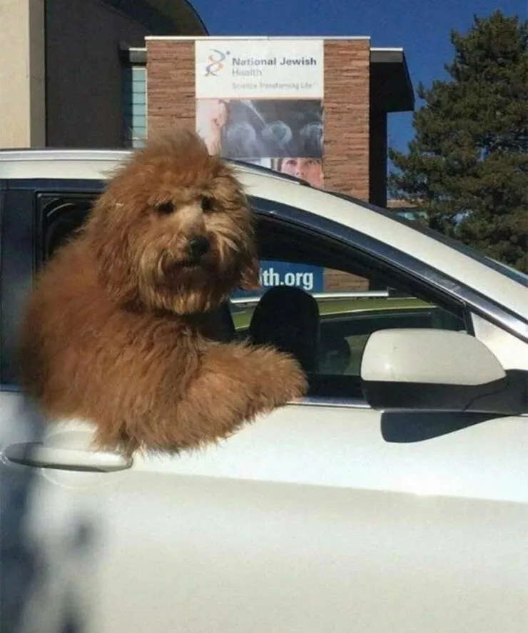 Picdump 1035 - #40 