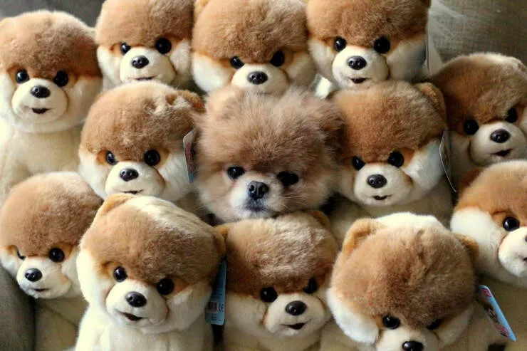 Picdump 1035 - #50 