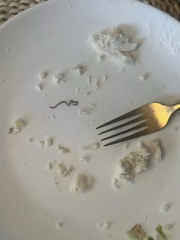 Quand les journees tournent au cauchemar - #1 Terminé mon poisson, trouvé un dessert inattendu
