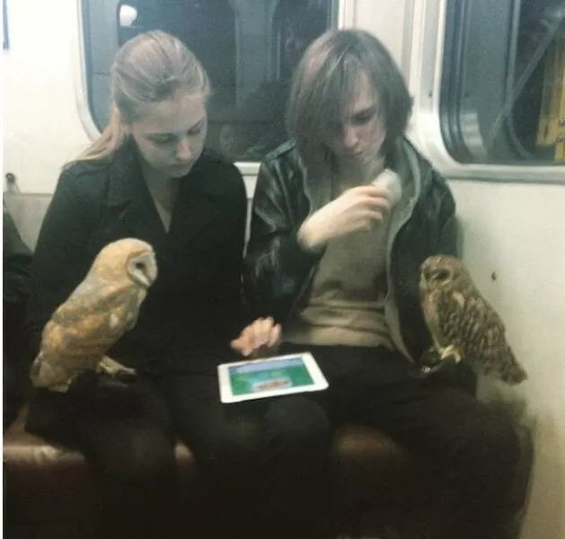 The craziest moments ever caught in subways - #15 