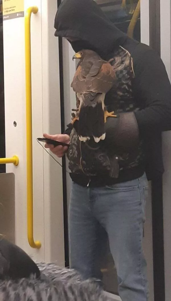 The craziest moments ever caught in subways - #20 