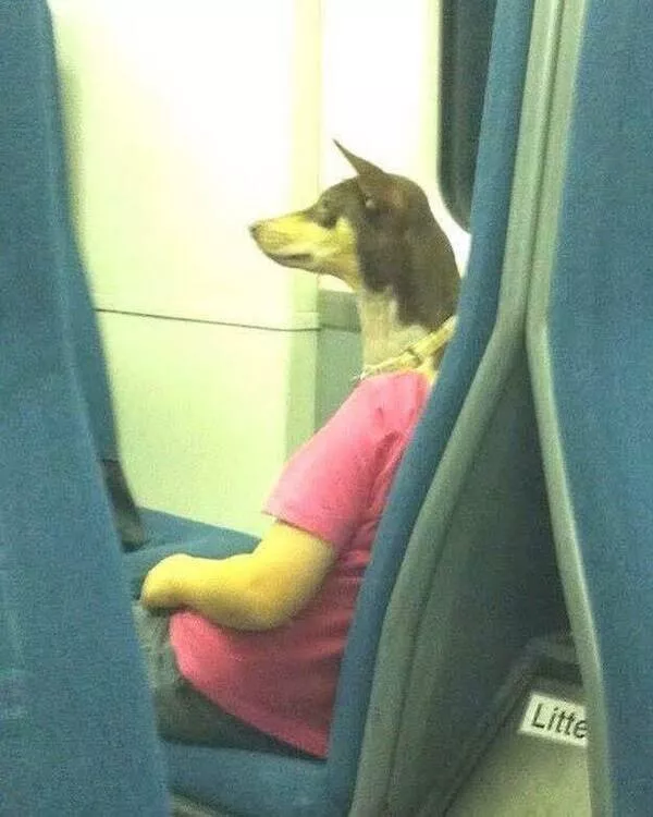 The craziest moments ever caught in subways - #23 