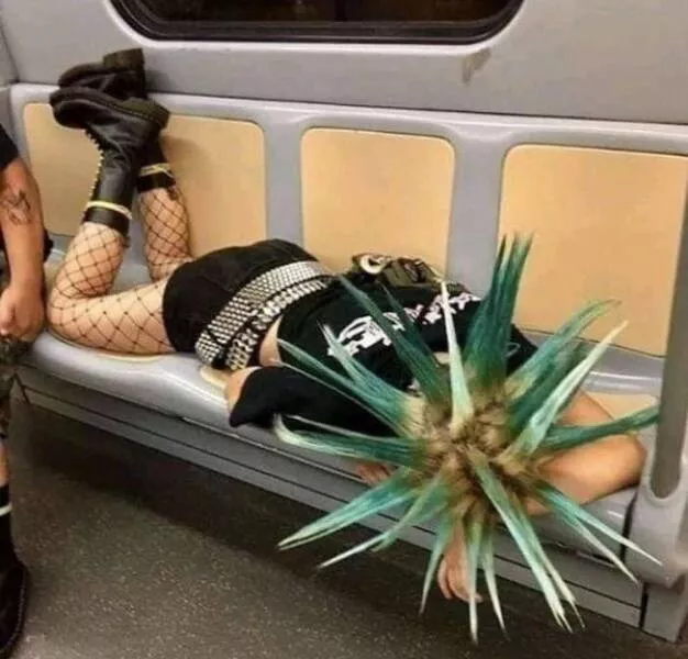 Les scenes les plus folles vues dans le metro - #25 