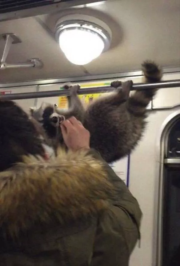 The craziest moments ever caught in subways - #27 