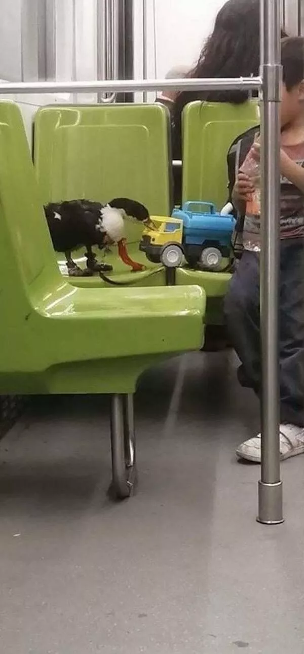 The craziest moments ever caught in subways - #32 