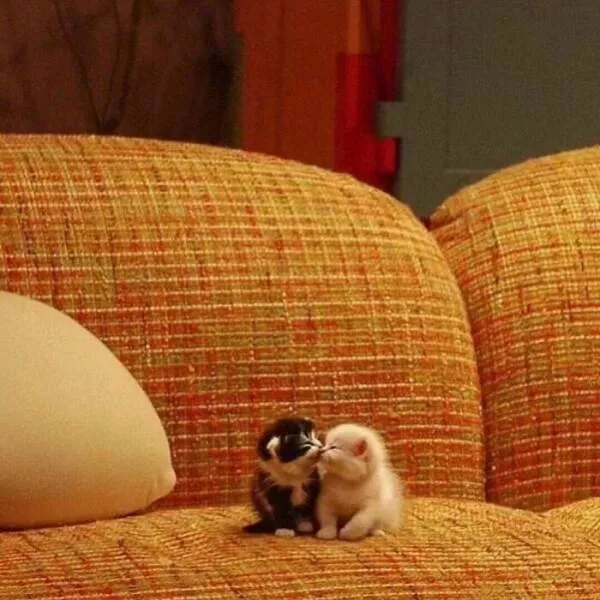 Soft fuzzy and overflowing with love - #10 