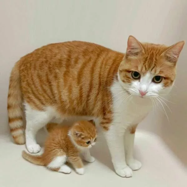 Soft fuzzy and overflowing with love - #16 