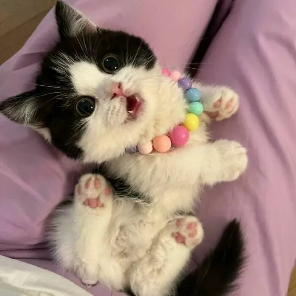 Soft fuzzy and overflowing with love - #17 