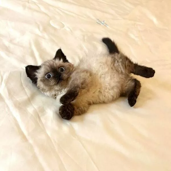 Soft fuzzy and overflowing with love - #18 