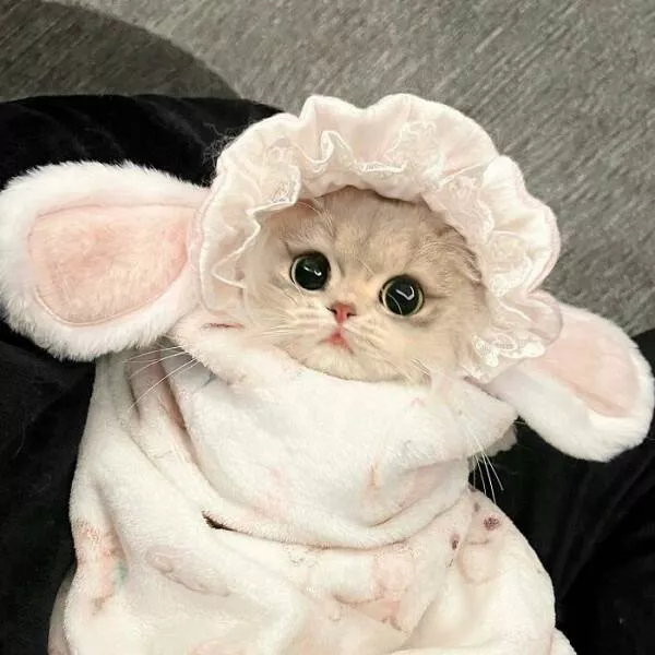 Soft fuzzy and overflowing with love - #29 