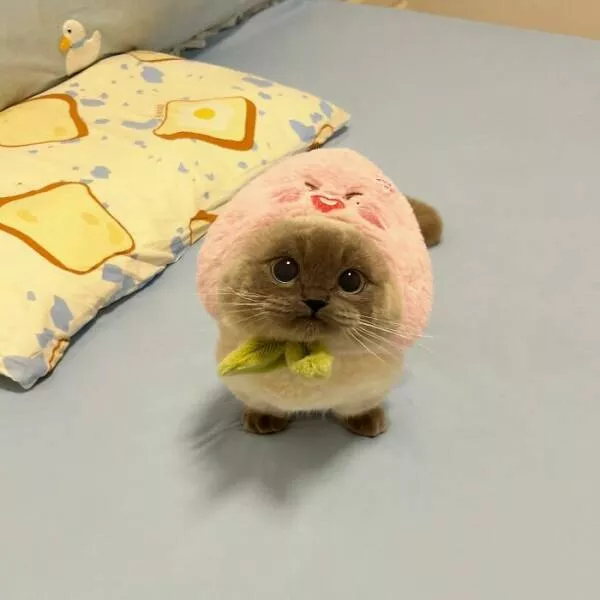 Soft fuzzy and overflowing with love - #30 