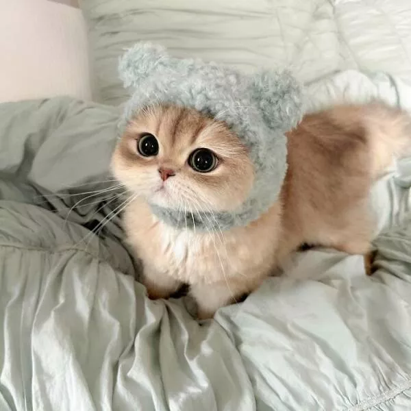 Soft fuzzy and overflowing with love - #38 