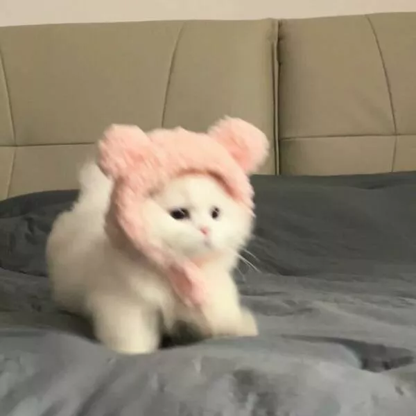 Soft fuzzy and overflowing with love - #39 