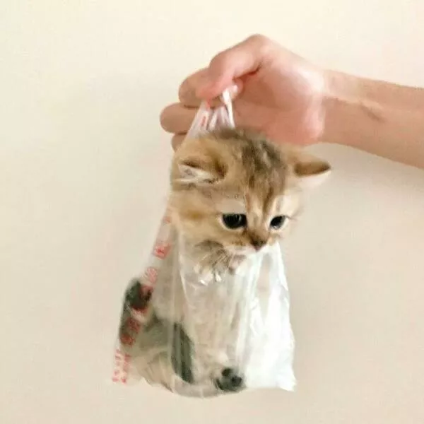 Soft fuzzy and overflowing with love - #41 