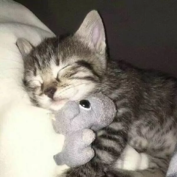 Soft fuzzy and overflowing with love - #5 