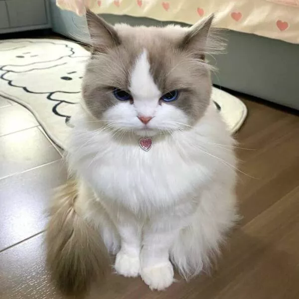 Soft fuzzy and overflowing with love - #8 