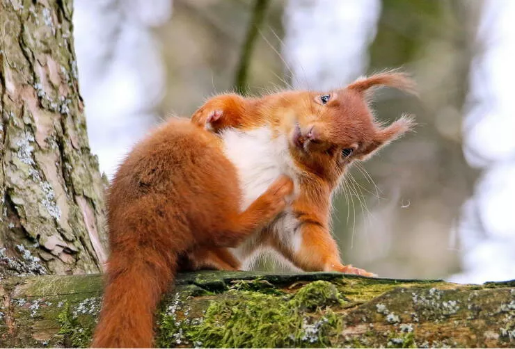 Picdump 1036 - #16 