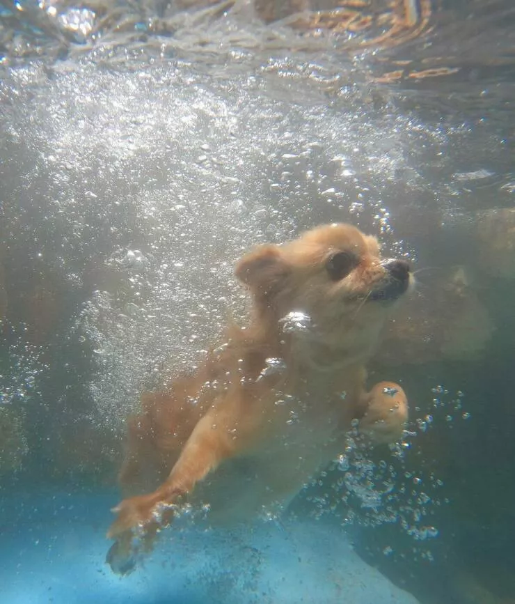 Picdump 1036 - #29 