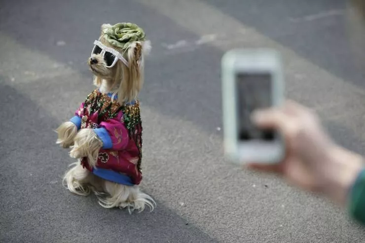Picdump 1036 - #53 