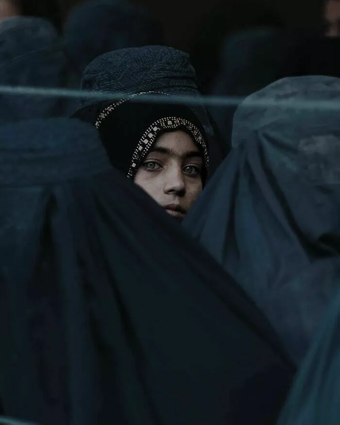 Stunning views of the world through the cameras eye - #1 