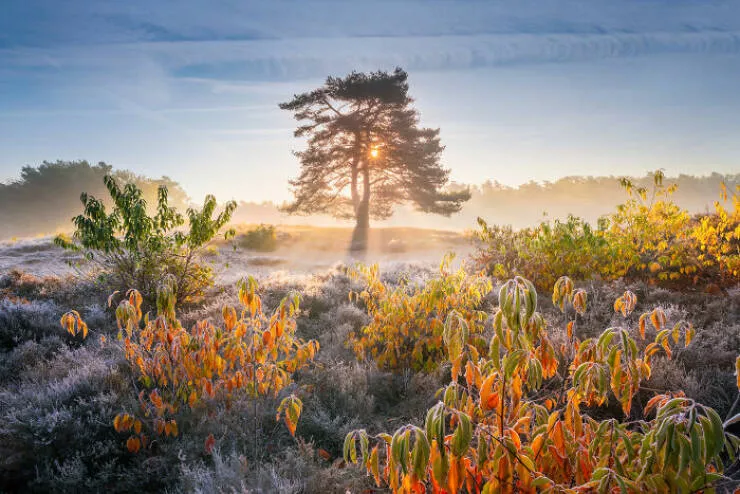 Stunning views of the world through the cameras eye - #14 
