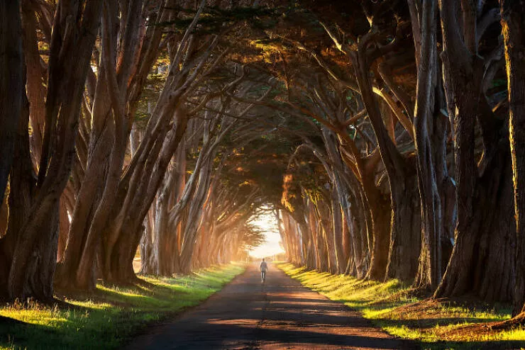 Stunning views of the world through the cameras eye - #22 