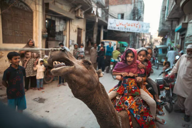 Stunning views of the world through the cameras eye - #7 
