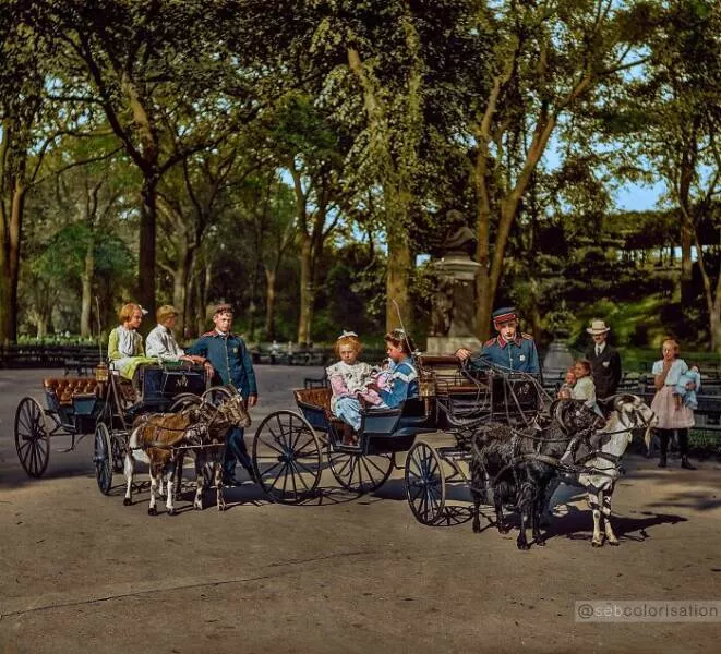 Le passe reprend vie en couleurs eclatantes - #22 Promenade en chariot tiré par chèvres à Central Park, New York 1904