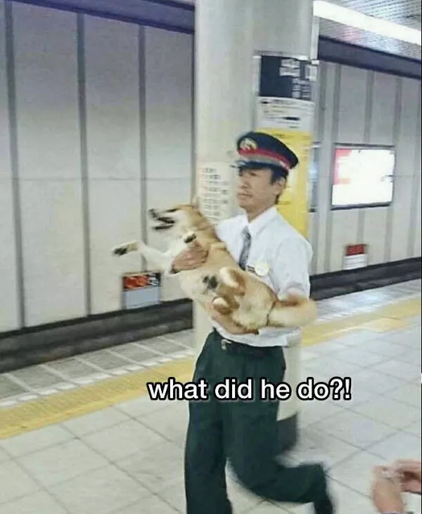 Picdump 1037 - #14 