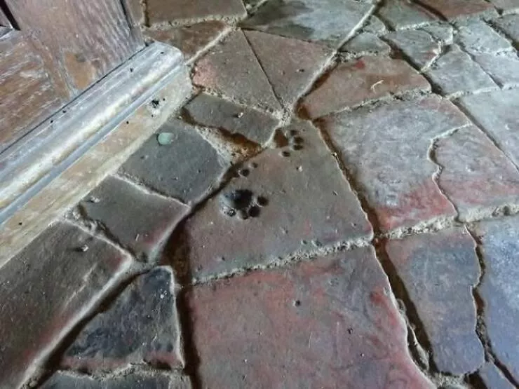 Mind blowing archaeological finds that changed history - #2 12th Century Stone Tiles Marked With Medieval Cat Prints, St. Peter Church, England