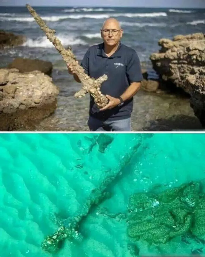 Mind blowing archaeological finds that changed history - #36 Crusader-Era Sword Found By Diver Off The Israeli Coast Mind blowing archaeological finds that changed history - #36 Crusader-Era Sword Found By Diver Off The Israeli Coast