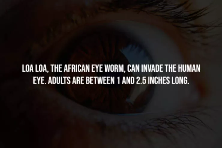 Chilling facts that are stranger than fiction - #14 