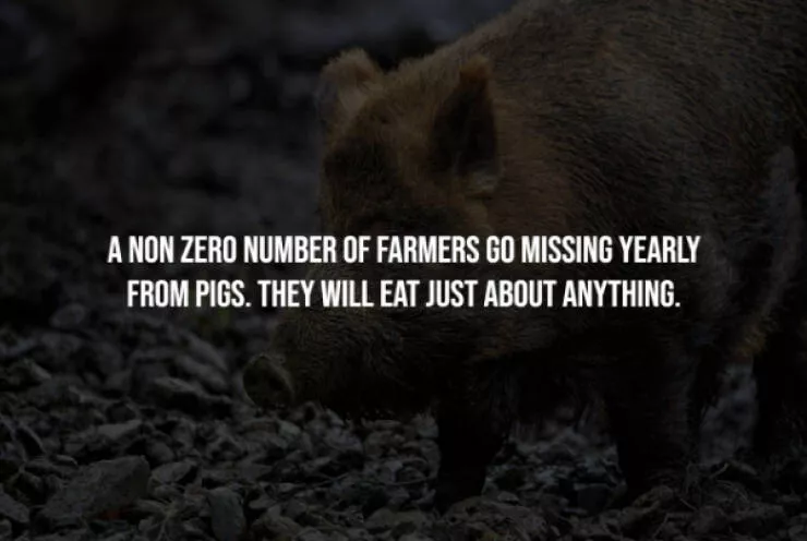 Chilling facts that are stranger than fiction - #2 