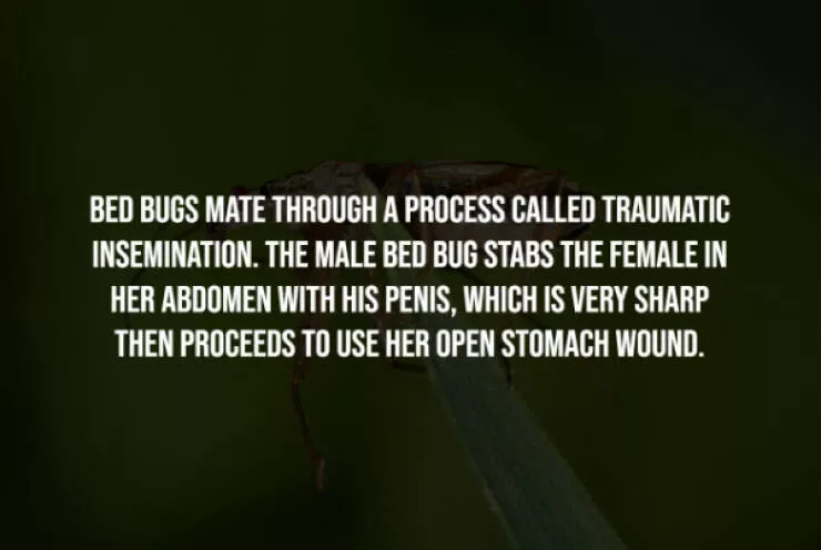 Chilling facts that are stranger than fiction - #4 