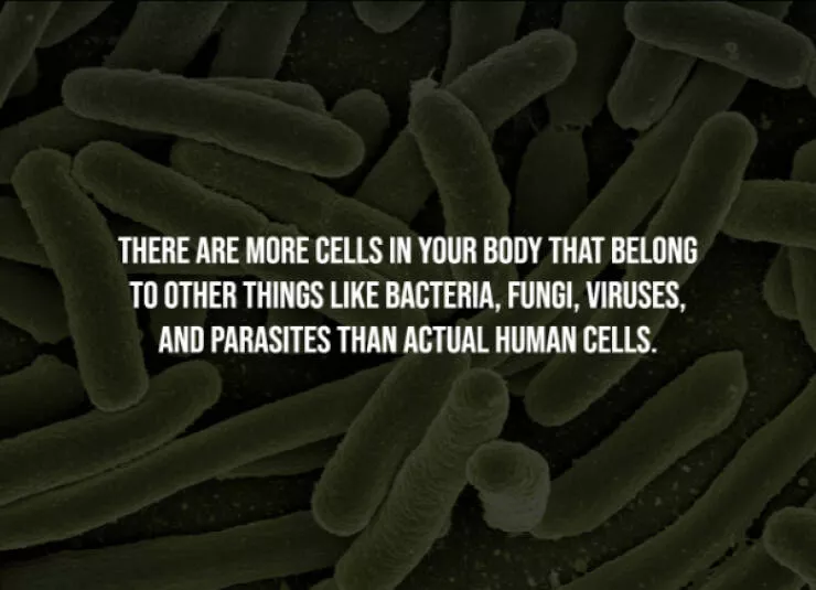 Chilling facts that are stranger than fiction - #5 