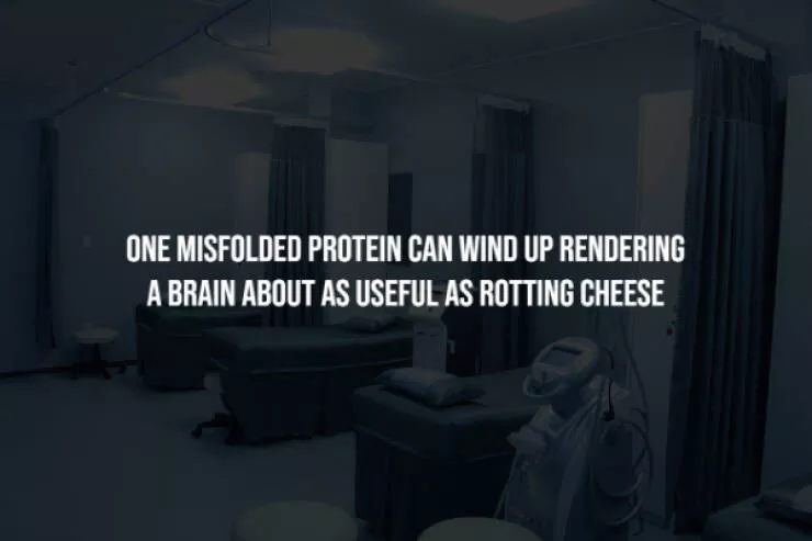Chilling facts that are stranger than fiction - #8 