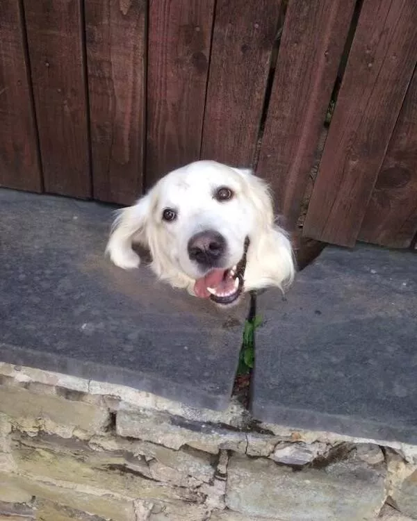 Heartwarming photos that overflow with happiness