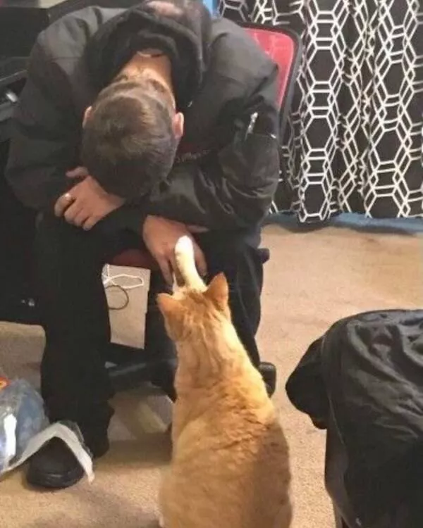 Heartwarming photos that overflow with happiness - #14 