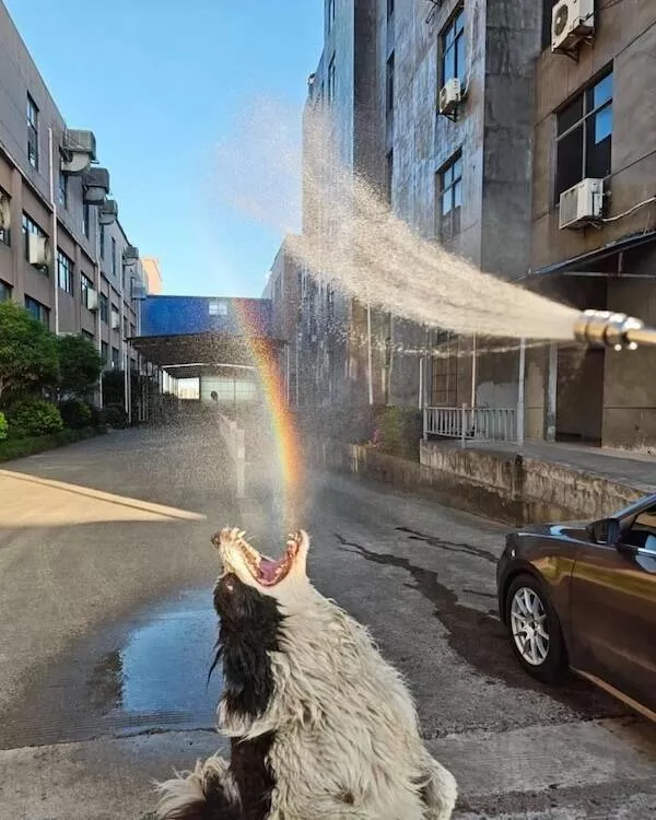 Heartwarming photos that overflow with happiness - #15 