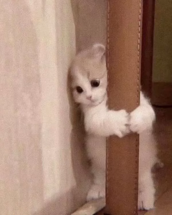 Heartwarming photos that overflow with happiness - #26 