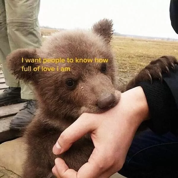 Heartwarming photos that overflow with happiness - #6 