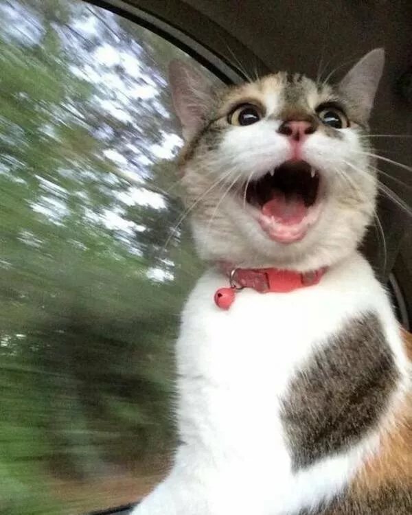 Heartwarming photos that overflow with happiness - #9 