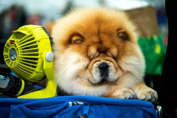 Picdump 1038 - #28 