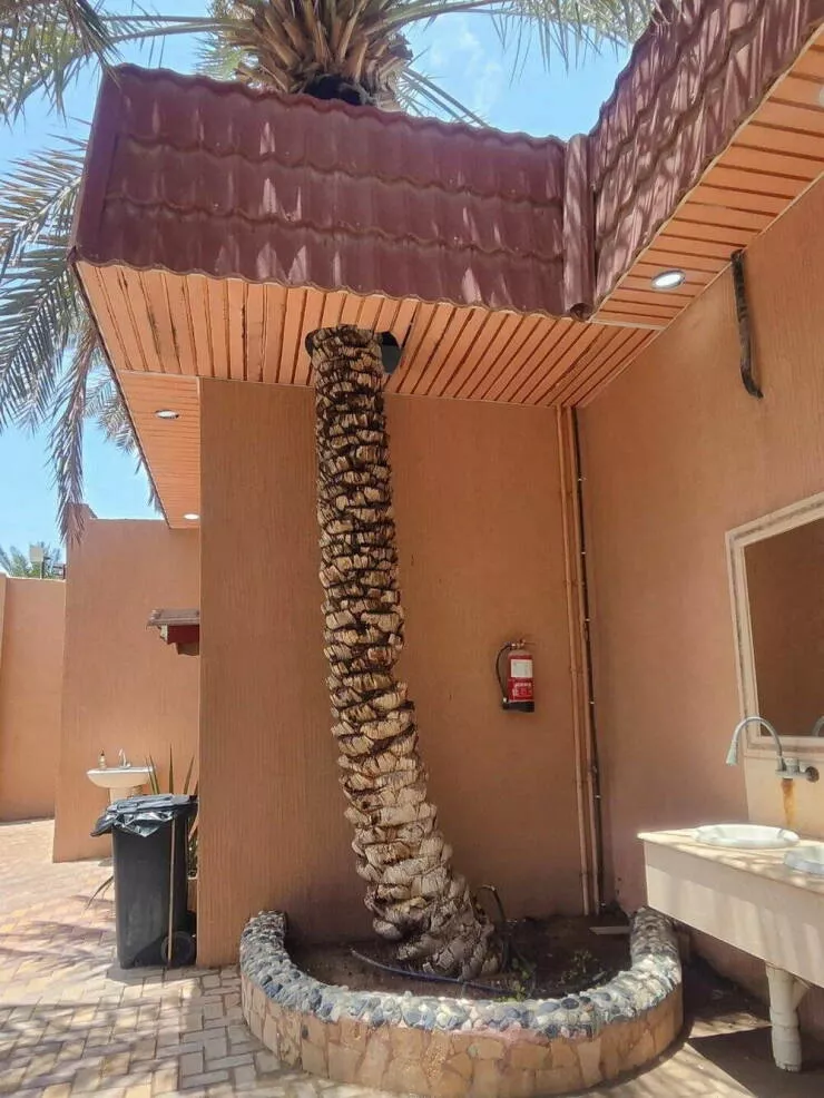 Picdump 1038 - #33 
