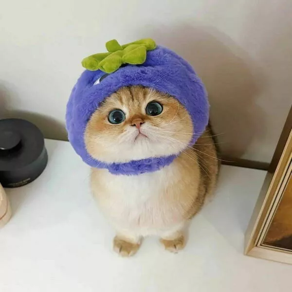 Picdump 1038 - #46 