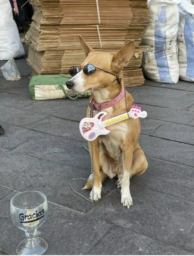 Picdump 1038 - #5 