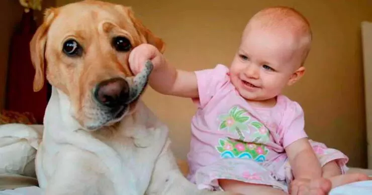Picdump 1038 - #51 