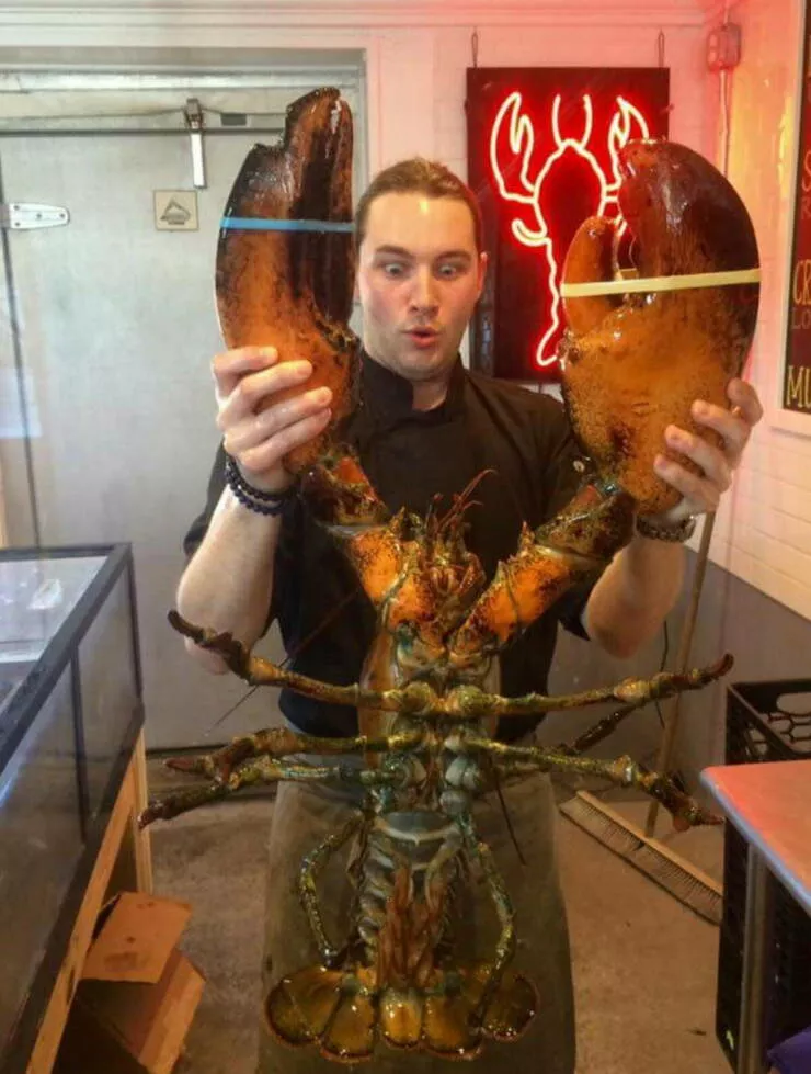 Picdump 1038 - #58 